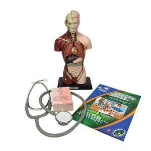 EDU SCIENCE Human Torso Learning Game